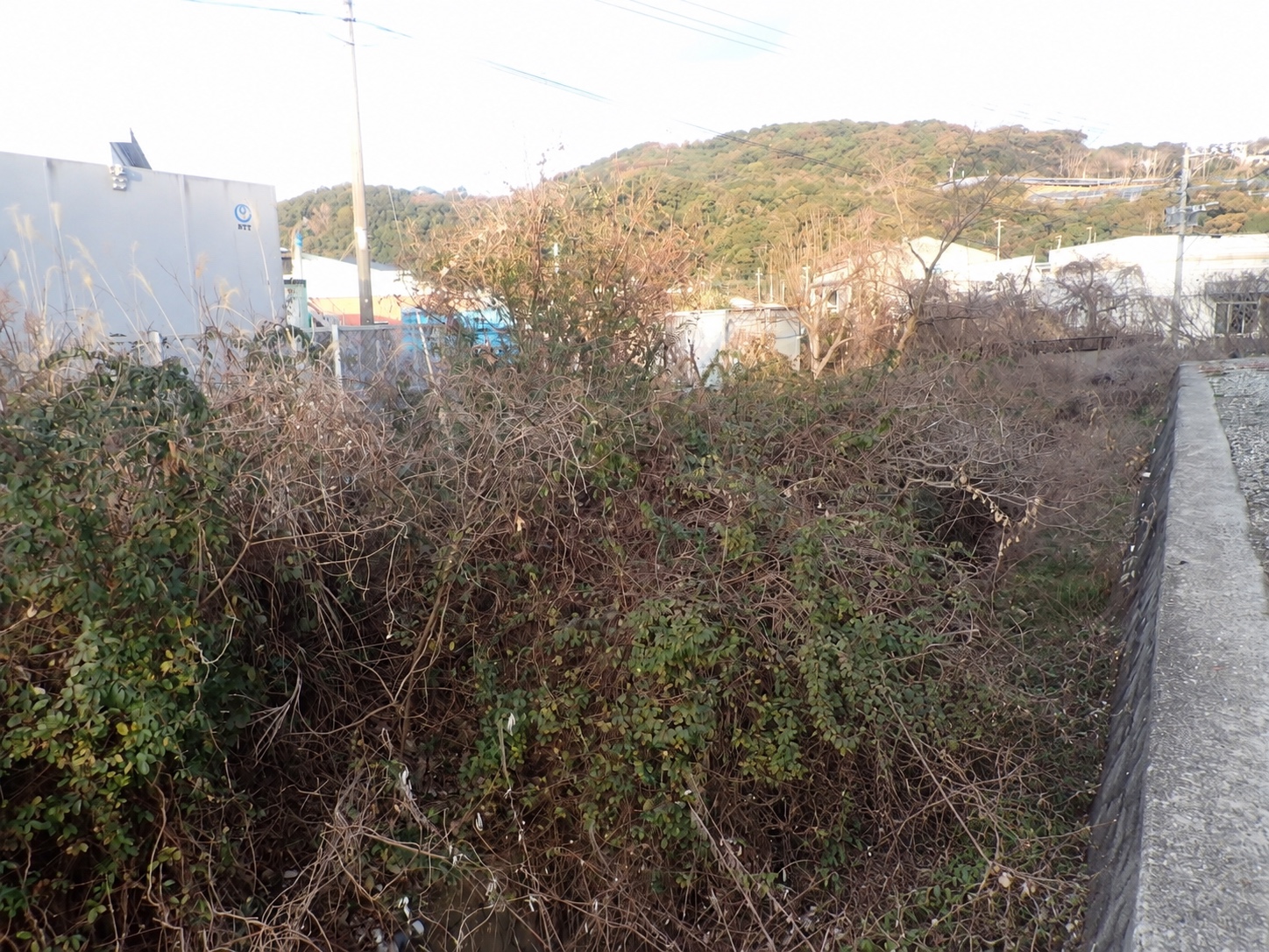 施設外 除草 着工前の写真
