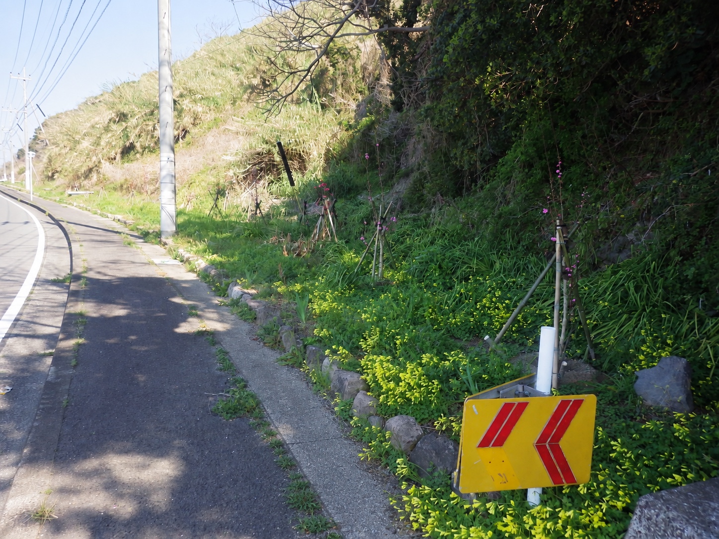 緑地帯 防草土 着工前の写真
