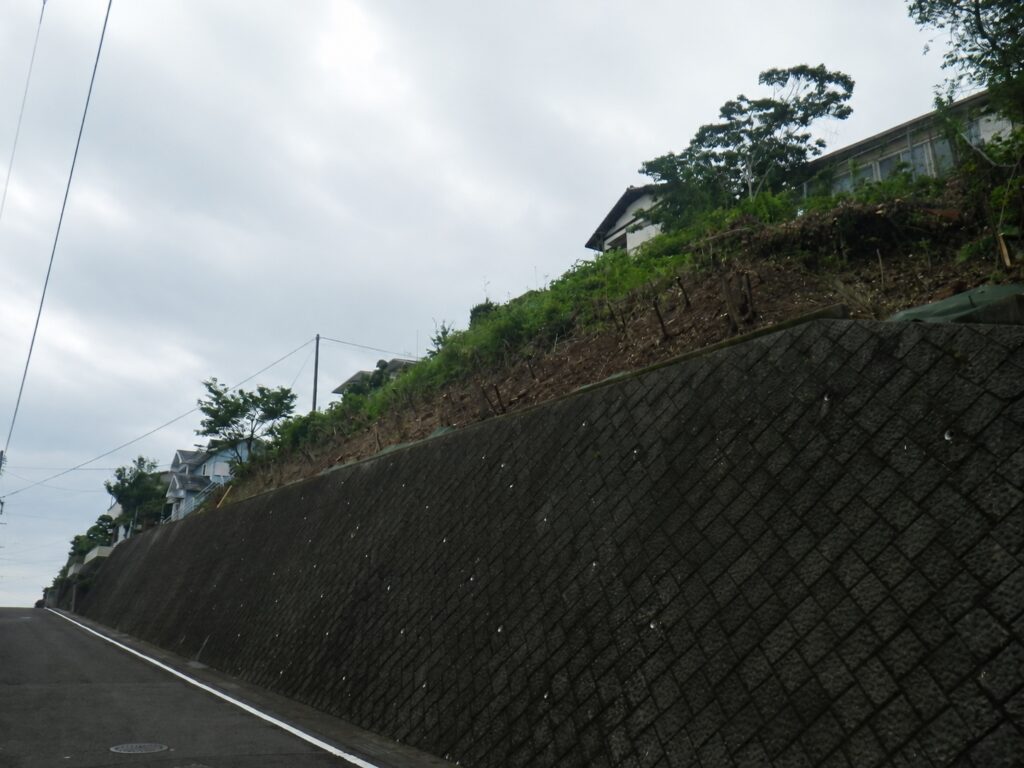 緑地帯 伐採 完了の写真