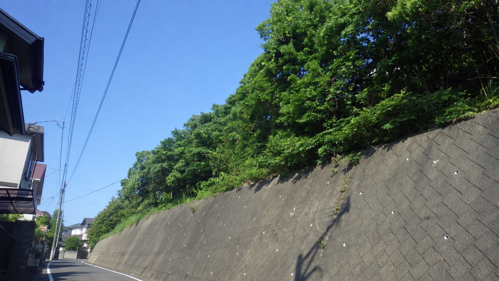 緑地帯 伐採 着工前の写真