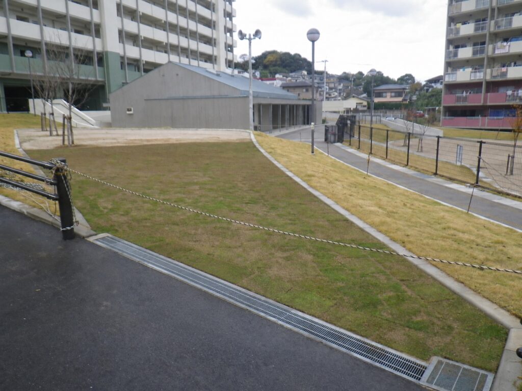 団地内 張り芝 完了の写真