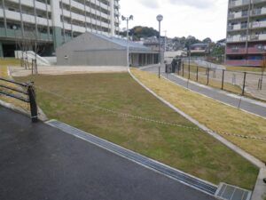 団地内 張り芝 完了の写真