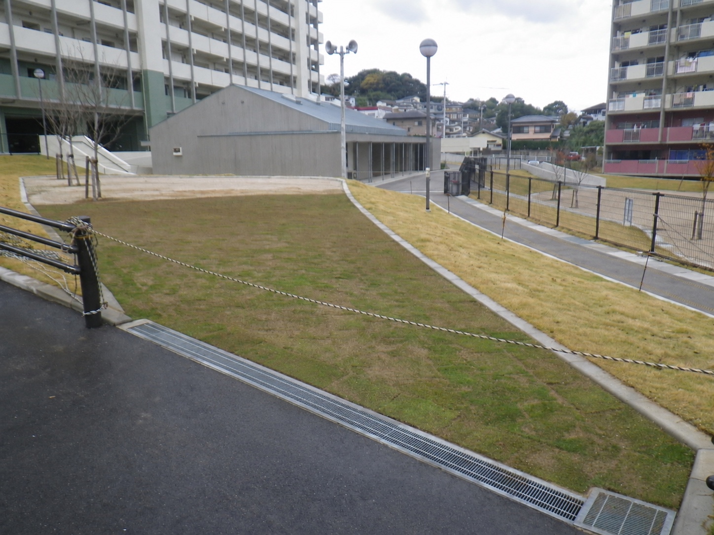 団地内 張り芝 完了の写真