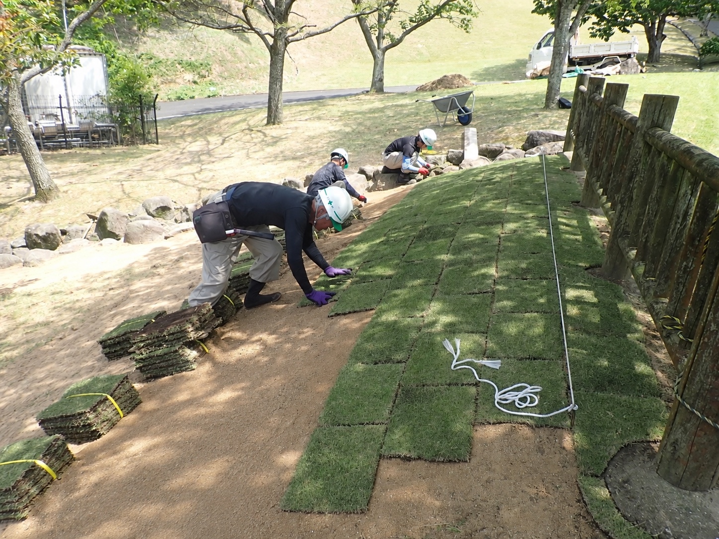 張り芝の作業風景|金子兄弟造園