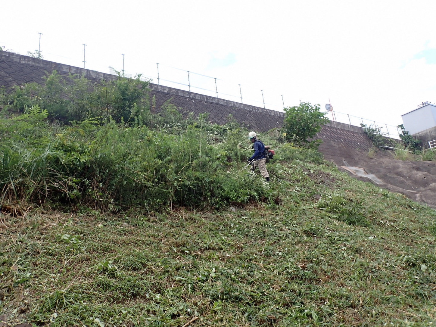 草刈り・除草の作業風景|金子兄弟造園