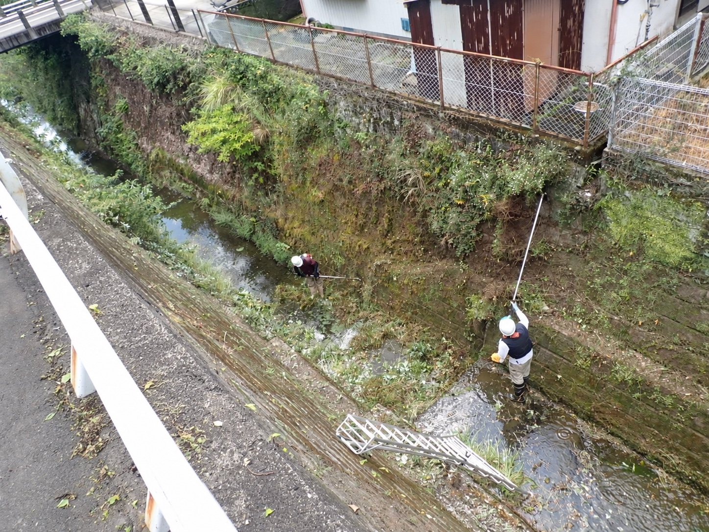 草刈り・除草の作業風景|金子兄弟造園