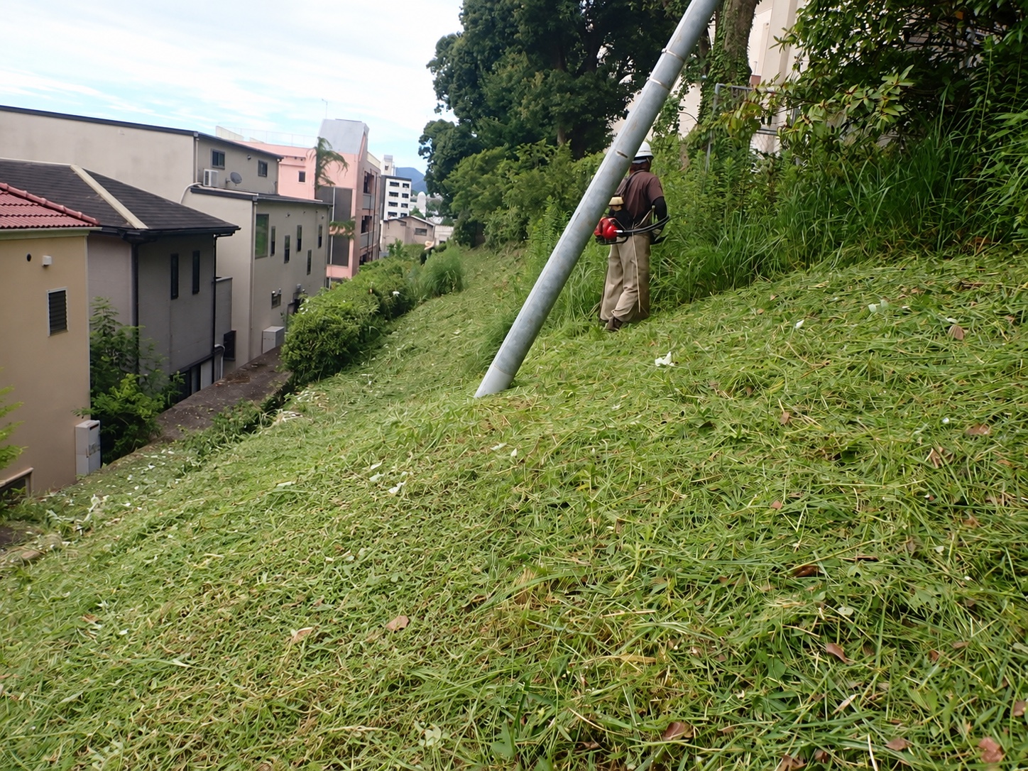 草刈り・除草の作業風景|金子兄弟造園