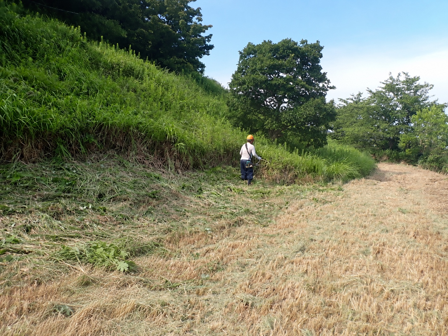 草刈り・除草の作業風景|金子兄弟造園