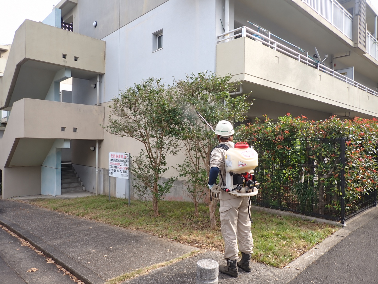 害虫駆除の作業風景|金子兄弟造園