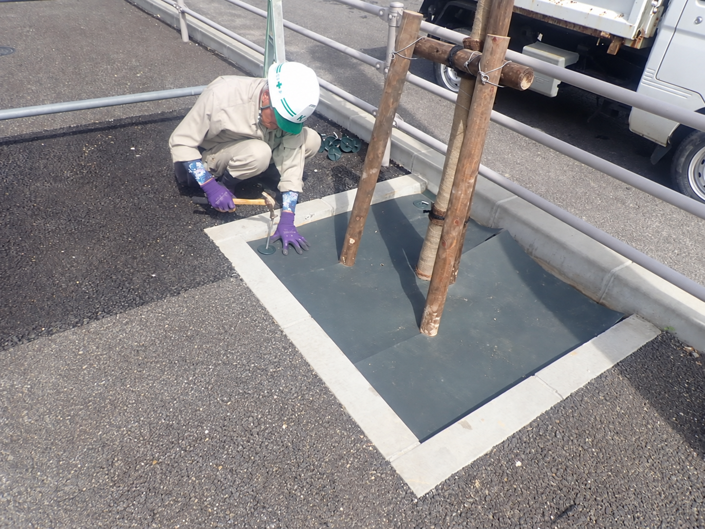 街路樹の根元に防草シートを固定する作業|金子兄弟造園