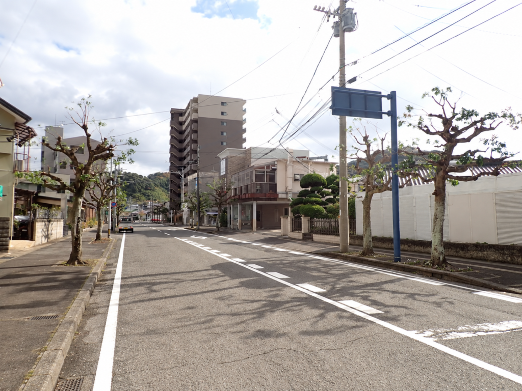 街路樹 剪定 完了の写真