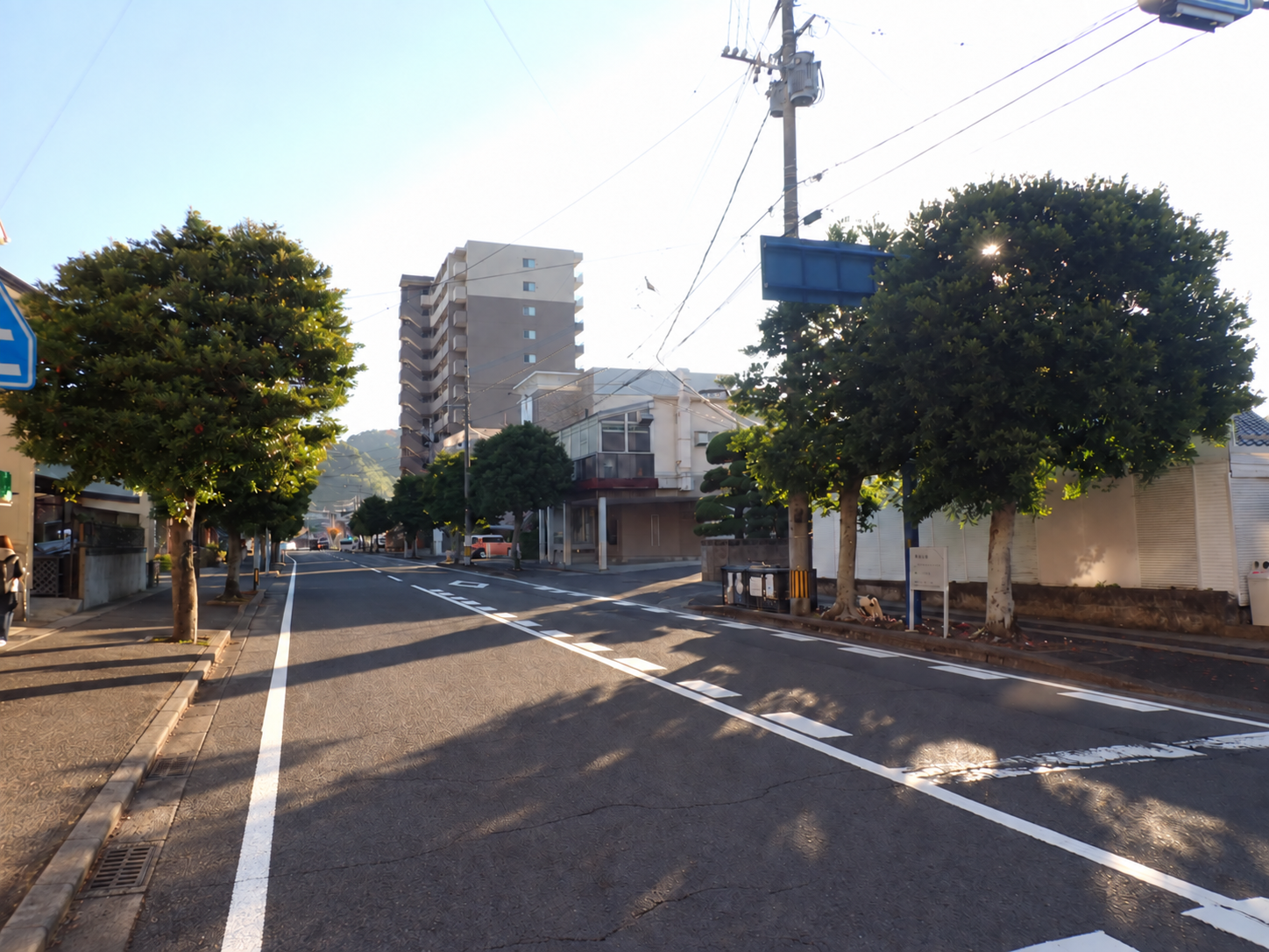街路樹 剪定 着工前の写真