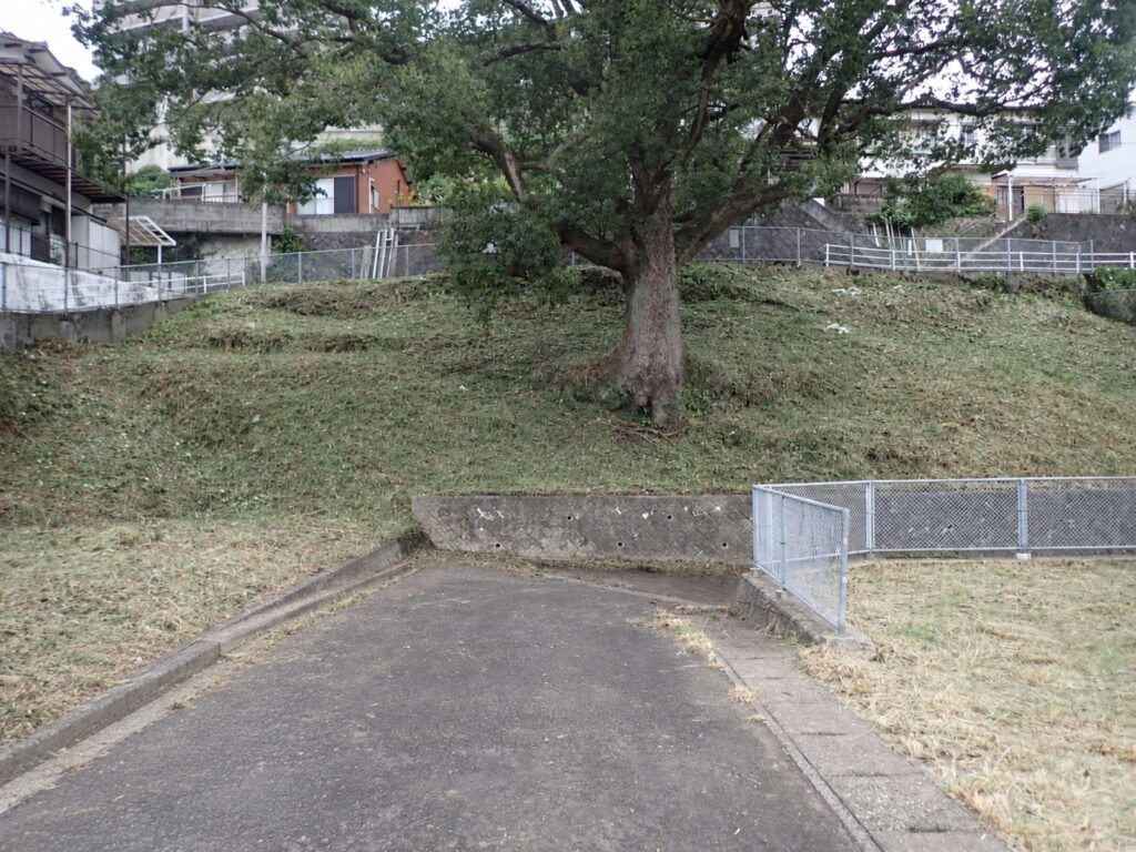 空き家敷地 除草 完了の写真