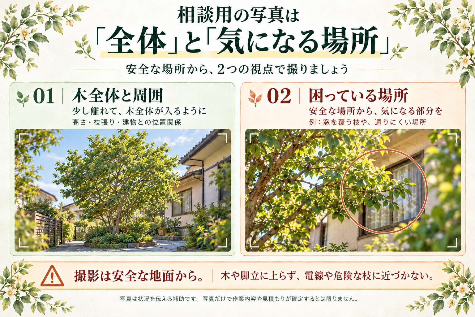 庭木が伸びすぎたらどうする?自分で切れる範囲と業者に頼む目安